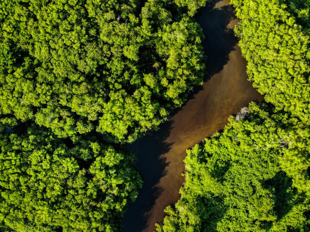 brasil-reduzira-emissoes-de-carbono-ate-2035-site-vibe-atual-2-1024x767 Brasil Reduzirá Emissões de Carbono até 2035