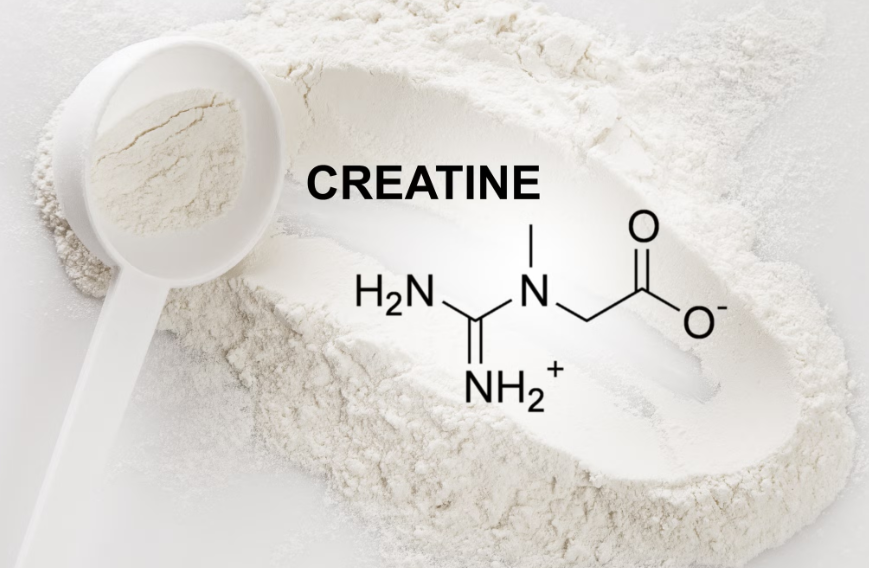 creatina-e-funcao-cognitiva-beneficios-cientificamente-comprovados-site-vibe-atual-03 Creatina e Função Cognitiva: Benefícios Cientificamente Comprovados